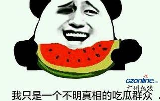 吃瓜群众指什么意思,网络时代的旁观者与评论者